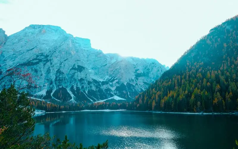 科技高端